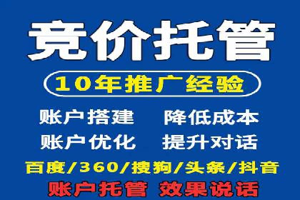 专业SEM代运营公司案例分析
